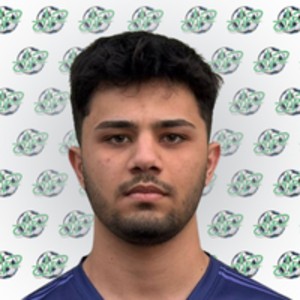 Çınar Çağrı Dost