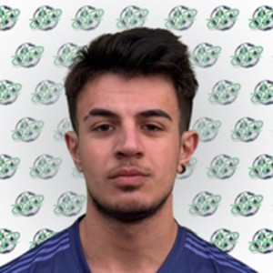 Yiğit Poyraz Ulusoy