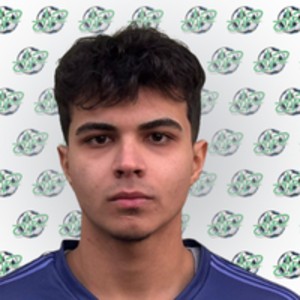 Muhammed Taha Çelik